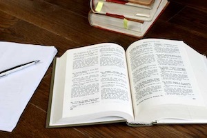 Domestic Violence Law